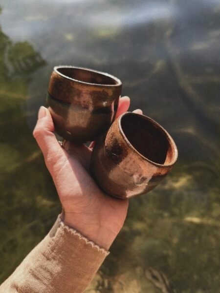 The Earth Mugs