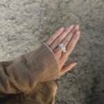 The "A rose on a Ring"-Ring