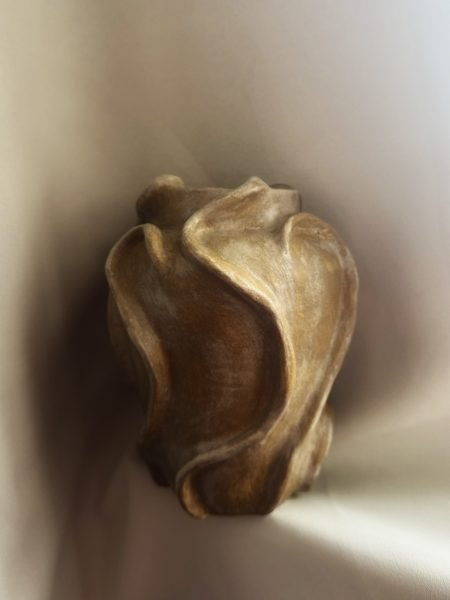 The Organica Vase Matte