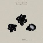 The Pedrita Collection 2025