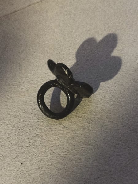 The Delicious Raspberry Ring