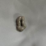 The Very Organic Organica Pendant